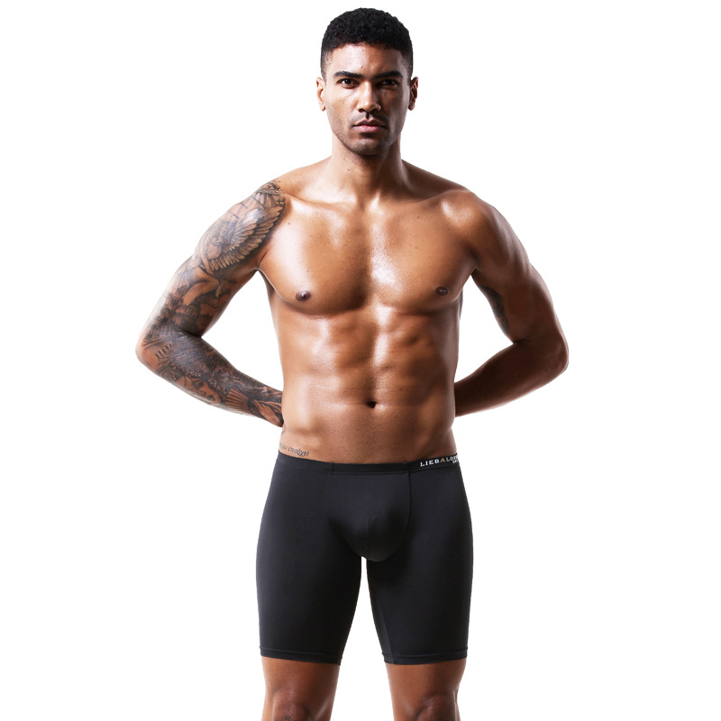 Boxer à sulfJambes pour Homme, - Long Leg Trunk Men avis et prix